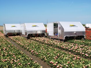 Selectiewagens gemaakt voor Wit Flowerbulbs B.V.